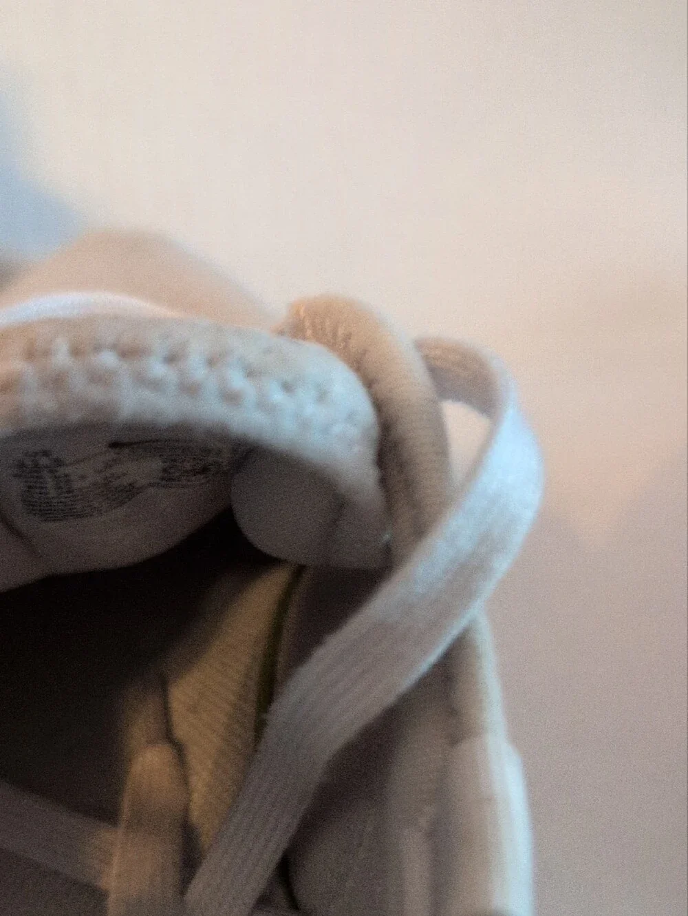 Nike Light Grey and Mint Green Women's Trainers